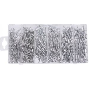 Set de 400 pop-nituri, Tagred TA4096, diferite marimi 121741966 - Fixator