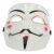 V für Vendetta Maske, Anonymous Kostümmaske
