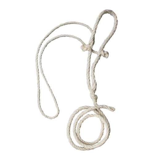 Tehén kötőfék vékony fejkötelet, sziszál kötélből, 200 cm hosszú, 10 mm vastag