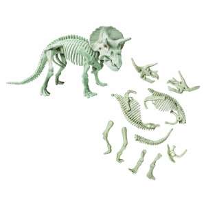 Schelet de dinozaur Triceratops, strălucitor în întuneric, asamblat - Jocuri stiintifice si exploratori