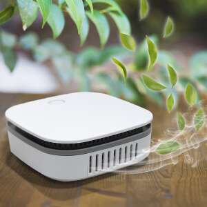 WG+ tragbarer Luftreiniger-Ozongenerator 110563001 - Luftbehandlung