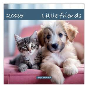 Falinaptár LIZZY CARD 300x600mm álló Little Friends 2025. 110581246 - Irodai kiegészítő