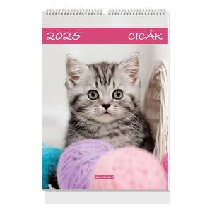 Falinaptár spirálozott  LIZZY CARD B/4 álló Cicák 2025. 110581276 - Irodai kiegészítő