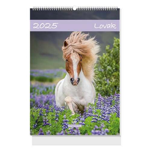 Falinaptár spirálozott  LIZZY CARD B/4 álló Lovak 2025. 110581279