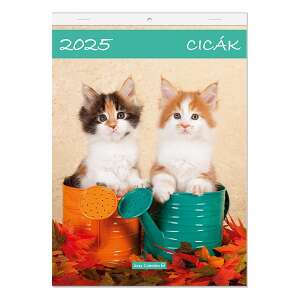 Falinaptár LIZZY CARD A/4 álló Cicák 2025. 110581286 - Irodai kiegészítő