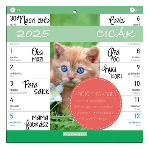 Falinaptár mágneses LIZZY CARD 220x220mm 2 hetes Cicák 2025. 110581296