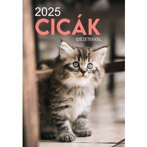 2025 Naptár: Cicák 110585723 - Naptár
