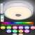 Bluetooth ceiling light with RGB color and speaker, controlled by remote and smartphone, showing the remote and smartphone
