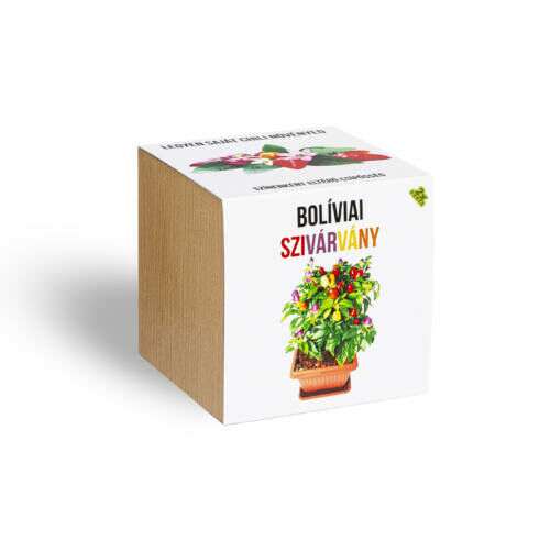 Set de plante de ardei iute chili cu arc-curcubeu din Bolivia în ghiveci din lemn cub