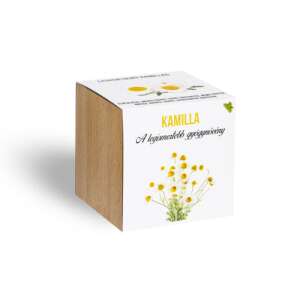 Planta mea de mușețel într-un ghiveci de lemn 65548262 - Semințe de flori