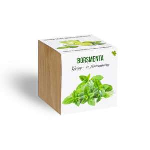 Wooden cube planter with mint seeds, grow your own mint - Plant Cultivation