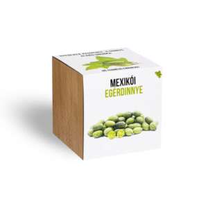 Mexican cucumber plant kit in wooden cube pot - Seed