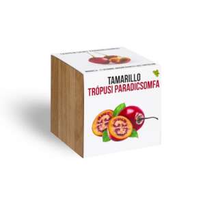 Tamarillo-Baum-Samen in einem Holzwürfeltopf, züchte deinen eigenen tropischen Tomatenbaum - Pflanzenanbau