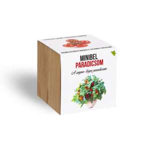 Minibel Tomatenpflanzen-Set in einem Holzwürfeltopf - Pflanzenanbau
