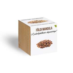 Gemahlene Mandel – Erdmandel – meine Pflanze im Holztopf 65532219 - Pflanzenanbau