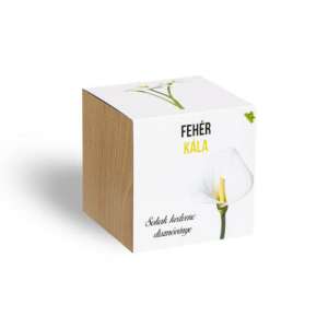 Plantă de cală albă într-un ghiveci cub din lemn - Semințe de flori