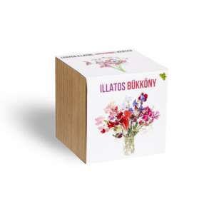 Illatos Bükköny flower seeds in a wooden cube planter - Flower Seed