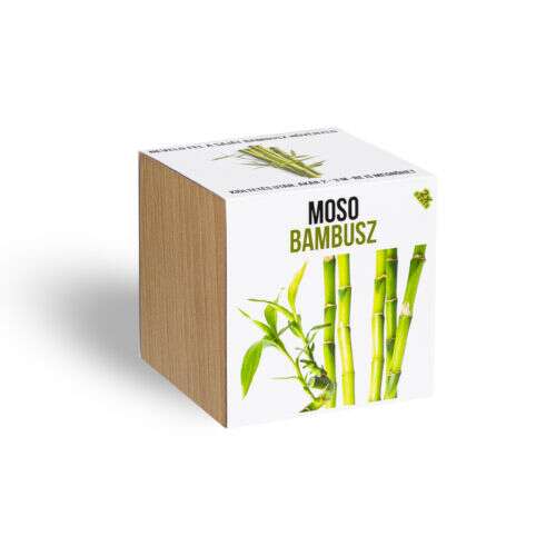 Waschen Sie meine Bambuspflanze in einem Holztopf 65554717