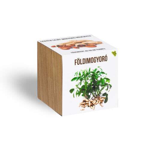 Set de cultivare plante de arahide în ghiveci din lemn cub