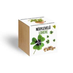 Plantă de trifoi cu patru foi într-un ghiveci din lemn, cultivă-ți propriul talisman - Semințe de flori