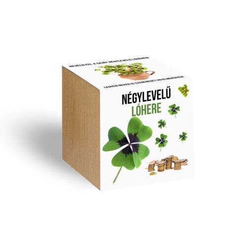 Planta mea de trifoi cu patru foi într-un ghiveci de lemn