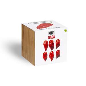 King Naga chili pepper seeds in a wooden cube planter - King
