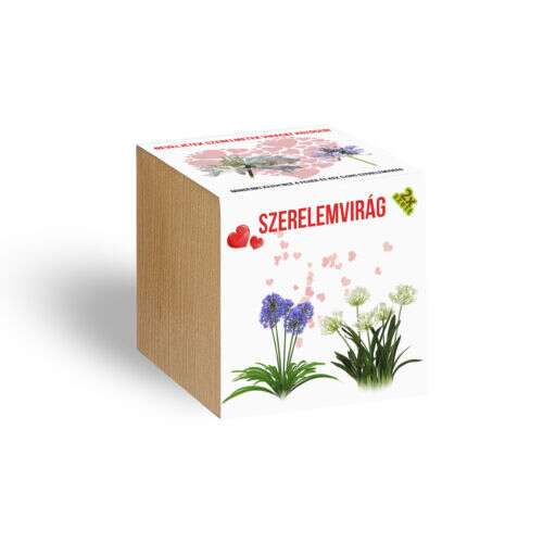 Cutie din lemn cu semințe de flori de dragoste, perfectă pentru cultivarea propriilor flori