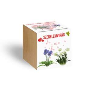 Holzkasten mit Liebesblumen-Samen, perfekt zum Anpflanzen eigener Blumen - Pflanzenanbau