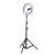 RGB Selfie Ring Light with Tripod Stand, 26cm, Adjustable Brightness, 20 Light Modes