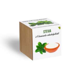 Sada na pestovanie stevie v drevenom kocke, ideálna na pestovanie vlastného prírodného sladidla - Pestovanie rastlín