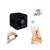 Mini WiFi Magnetic Spy Camera, black, with SD card and mobile app