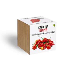 Carolina Reaper Chili-Pflanzen-Set im Holztopf - Pflanzenanbau