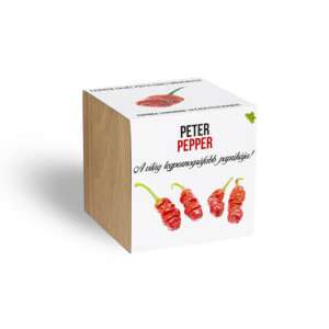 Peter Pepper Chili Paprika Pflanze im Holztopf - Pflanzenanbau