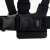 GoPro chest mount harness, close up of the mount