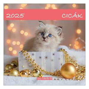 Falinaptár LIZZY CARD 300x600mm álló Cicák 2025. 111013280 - Irodai kiegészítő