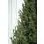 Umelý vianočný stromček Deluxe od Sersimo, Vienna Select, plne 3D, 210 cm 111042656