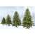Royal Trees artificial Christmas tree sizes