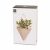 Umbra TRIGG wall planter packaging, modern umbra color, geometric design box