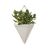 Umbra TRIGG wall planter with plant, modern umbra color, geometric design