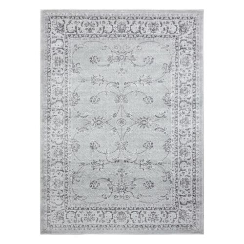 Tepih Hakano TREX FRAME 2 sivi, 140x190 cm, tradicionalni dizajn