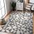 Hakano WINK TRIANGLE gray rug in living room setting