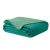 Bedspread SOFTA colour green plain fabric microfibre 170x210 AmeliaHome 141213873