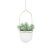 Umbra Triflora White Hanging Planter, Modern Indoor Plant Pot