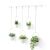Umbra Triflora Hanging Planter, White and Brass, Modern Plant Hanger