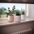 AmeliaHome PASO flower pots on windowsill with succulent plants