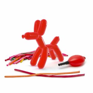 Twist balloon animal dog, pump, and uninflated balloons on white background - Balloon