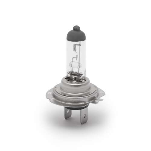 H7 Halogenlampe, 55W, 1300 Lumen, Carguard