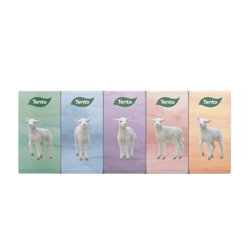 TENTO PAPÍR ZSEBKENDŐ 3RÉTEGŰ 10X10DB 111752236