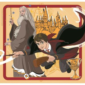 Detaliu puzzle Harry Potter cu Harry Potter și Dumbledore - Puzzle 3D & Puzzle cu burete
