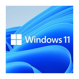 Microsoft Windows 11 Professional 64-bit HUN DSP OEI DVD (FQC-10537)